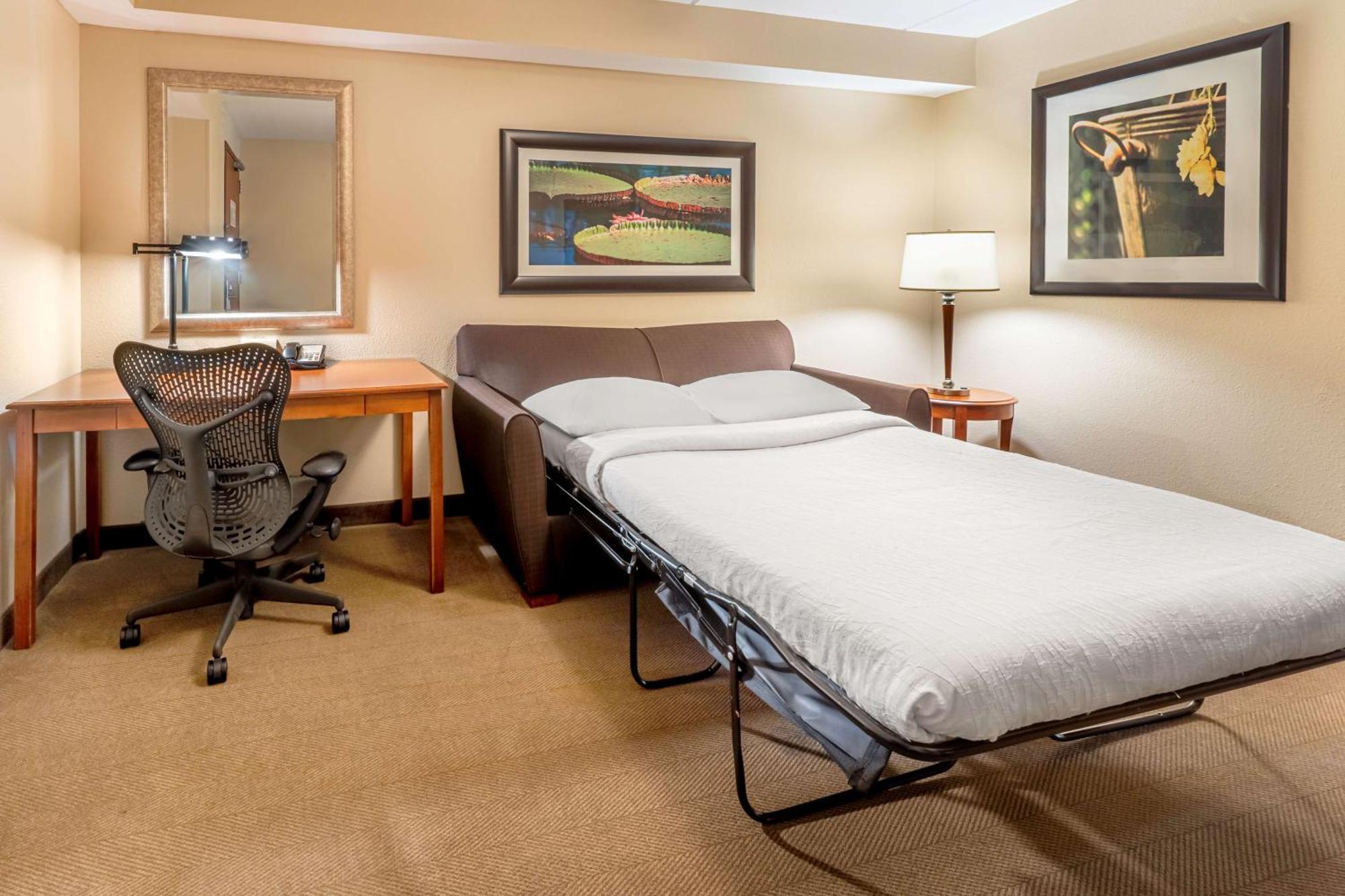 Hilton Garden Inn Houston/The Woodlands Dış mekan fotoğraf
