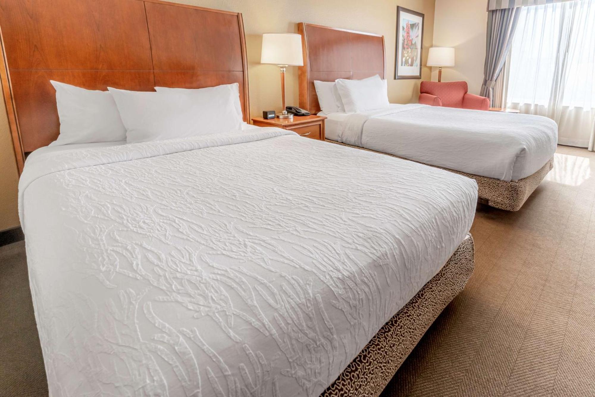 Hilton Garden Inn Houston/The Woodlands Dış mekan fotoğraf