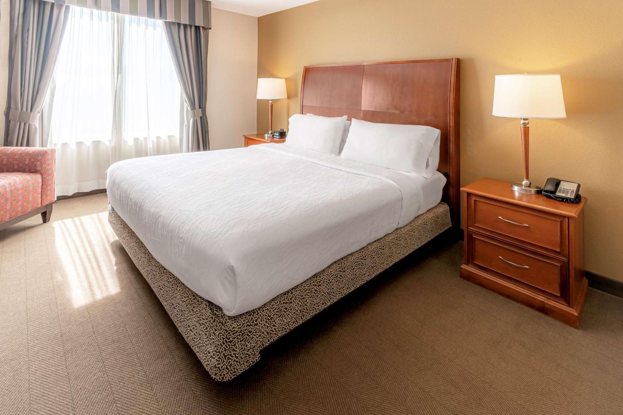Hilton Garden Inn Houston/The Woodlands Dış mekan fotoğraf